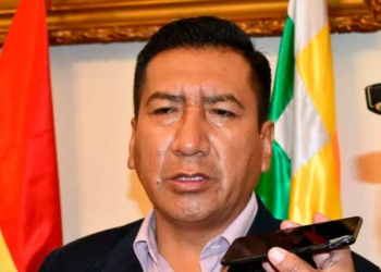 El presidente de la Cámara de Diputados, Freddy Mamani Laura