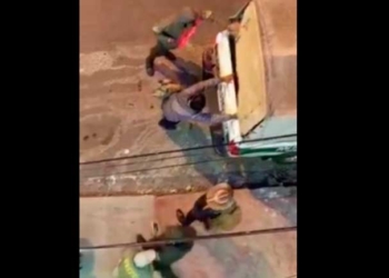 Cocaleros arrestados tras la batida de esta mañana