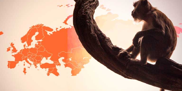 Fotoarte: Cristian Laris