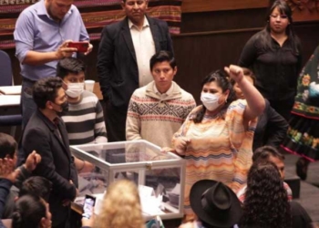 Legisladores del MAS emitieron su voto en una ánfora