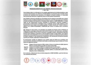 Cívicos advierten con paro nacional desde el lunes en demanda de Censo en 2023