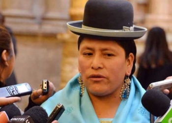 Senadora del MAS Virginia Velasco