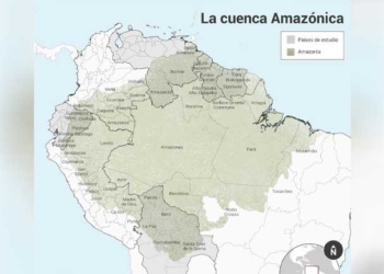 Selva Amazónica bajo ataque por todos los flancos