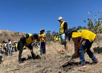 Miembros de la Iglesia de Los Santos de Los Últimos Días plantaron arbolitos en la ciudad de La Paz