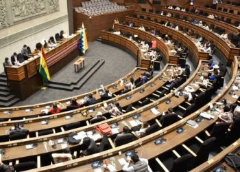 El Pleno de Cámara de Diputados | Foto: El Diario