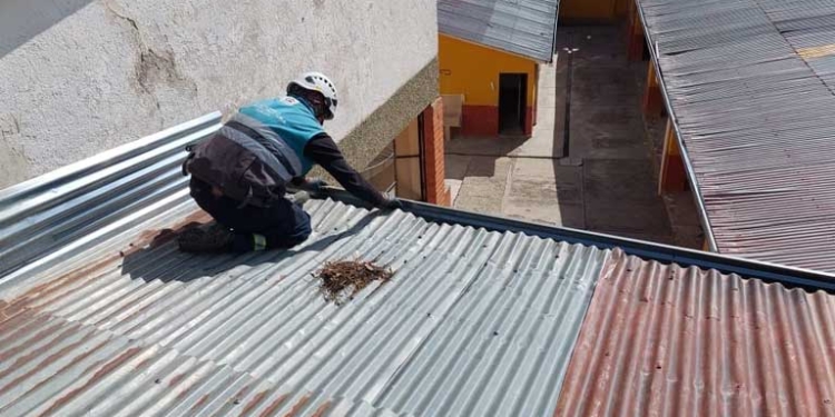 Alcaldía paceña informa que "solo faltan obras de refacción para 29 unidades educativas"