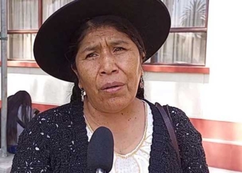 La diputada de Comunidad Ciudadana (CC) Toribia Lero | Foto: RRSS