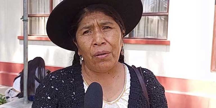 La diputada de Comunidad Ciudadana (CC) Toribia Lero | Foto: RRSS