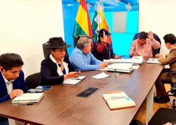 omisión de Planificación, Política Económica y Finanzas de la Cámara de Senadores