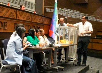 El presidente de la Cámara de Diputados, Jerges Mercado, emite su voto