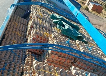 Intensifican control en frontera para evitar contrabando de huevo