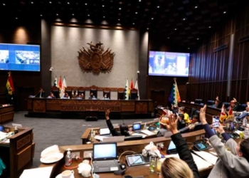 El Senado aprueba ley para la compra de oro y envía al Ejecutivo