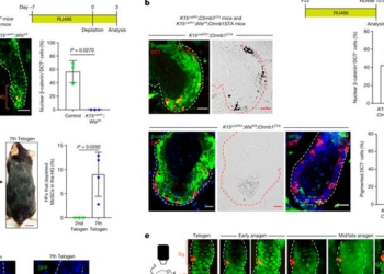 Nuevo estudio revela sorprendentes hallazgos sobre las canas y su origen