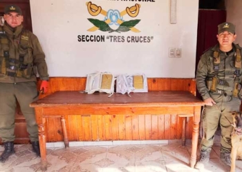 Decomisan a ciudadano boliviano droga oculta en diccionarios de medicina en control vial en Jujuy