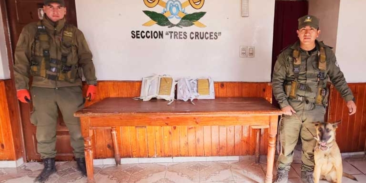 Decomisan a ciudadano boliviano droga oculta en diccionarios de medicina en control vial en Jujuy