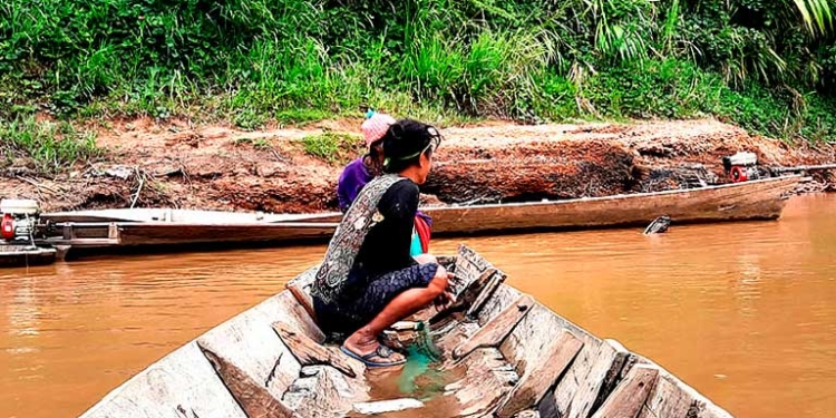 Foto: Fundación Tierra