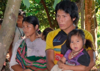 Mientras otras comunidades han logrado construir relaciones interétnicas con otros pueblos, los tsimanes del sector Yucumo están siendo despojados de sus tierras. Foto: Alcides Vadillo