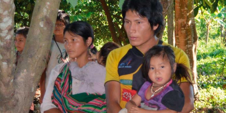 Mientras otras comunidades han logrado construir relaciones interétnicas con otros pueblos, los tsimanes del sector Yucumo están siendo despojados de sus tierras. Foto: Alcides Vadillo
