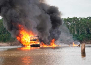 Operativos en el río Madre de Dios