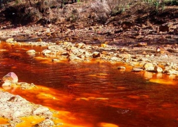 Imagen referencial: Foto: El Grito del Sur
