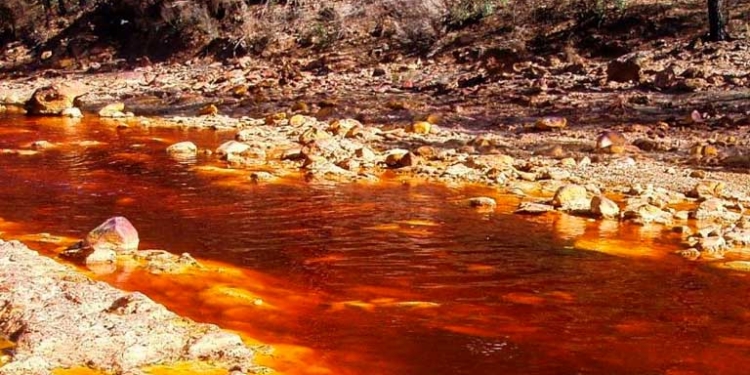 Imagen referencial: Foto: El Grito del Sur