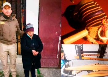 Detenida la principal sospechosa del robo a grupo Jach'a Mallku; Recuperados instrumentos y equipos