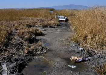 Imagen del lago Titicaca, compartido por Bolivia y Perú, con su nivel de agua en mínimos históricos debido al cambio climático y una severa sequía. Fotografía tomada en la comunidad de Huatajata, en el Altiplano boliviano el 9 de agosto de 2023. © AFP/Aizar Raldes