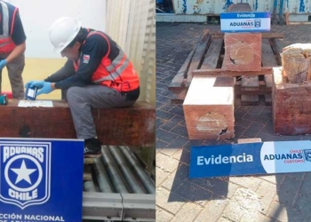 Incautan pasta base de cocaína que estaba escondida dentro de tronco de madera aglomerada