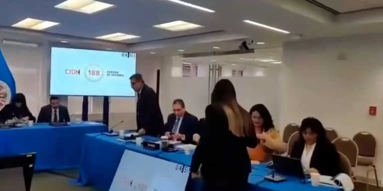 Hija de Jeanine Áñez protesta en la CIDH: "Mi madre es una presa política"