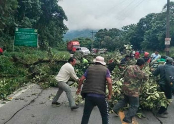 Un transportista falleció ayer aparentemente por un paro cardíaco en la zona de El Locotal (kilómetro 100), en la carretera nueva Cochabamba-Santa Cruz.