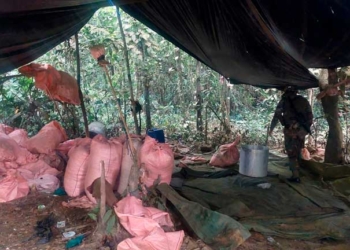 Suman 48 fábricas de cocaína destruidas en el Chapare durante bloqueos evistas