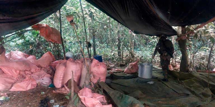 Suman 48 fábricas de cocaína destruidas en el Chapare durante bloqueos evistas