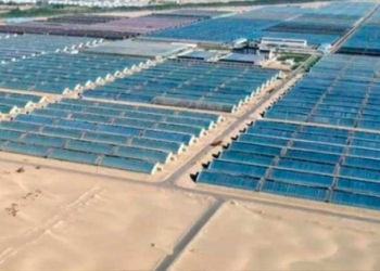 Invernaderos en el desierto e Hotan, al noroeste de China - INSTITUTE OF URBAN AGRICULTURE