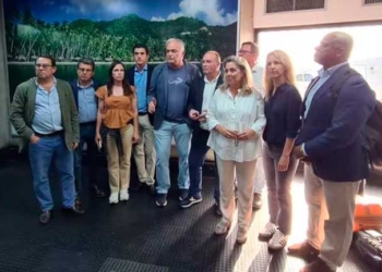 La delegación de parlamentarios del PP en el aeropuerto de Caracas, este 26 de julio.NUNEZFEIJO