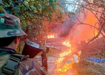 Fuerzas Antidroga destruyen nueve fábricas de cocaína en operativos en Santa Cruz y Cochabamba