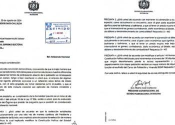 Luis Arce envía preguntas para referéndum sobre subsidios, reelección y escaños al TSE