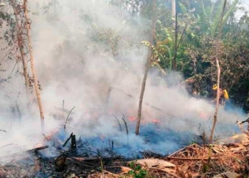 Clases virtuales obligatorias en Santa Cruz, Pando y Beni por contaminación ambiental