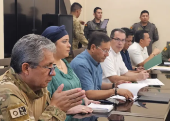 La ministra de la Presidencia, María Nela Prada, transmitió el mensaje que asumió el Gobierno del presidente Luis Arce