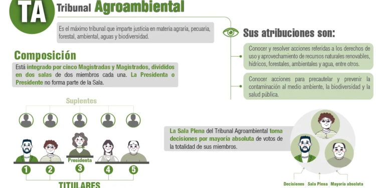 Bolivianos elegirán a nuevos magistrados del Tribunal Agroambiental el 1 de diciembre