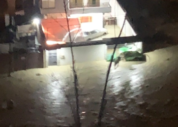 Mazamorra provoca pánico en Bajo Llojeta La Paz
