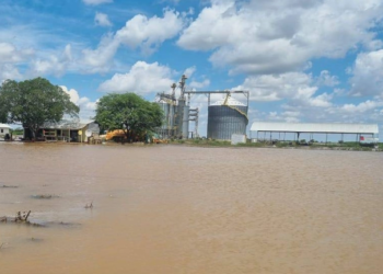 Foto: Leonardo Gil- Unitel