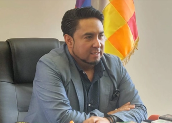 El viceministro de Políticas de Industrialización, Luis Siles