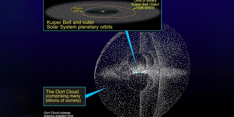 Esta ilustración muestra que el Cinturón de Kuiper tiene forma de disco [ver diagrama insertado] y reside dentro de la estructura en forma de concha de la Nube de Oort. Ubicado en las afueras del sistema solar, el Cinturón de Kuiper es un "depósito de chatarra" de innumerables cuerpos helados que quedaron de la formación del sistema solar. La Nube de Oort es una enorme capa de miles de millones de cometas. El diagrama insertado compara la órbita de Plutón con un objeto binario del Cinturón de Kuiper llamado 1998 WW31. El Cinturón de Kuiper [el disco borroso] se extiende desde el interior de la órbita de Plutón hasta el borde del sistema solar.

Crédito:

NASA/ESA y A. Feild (Instituto Científico del Telescopio Espacial)