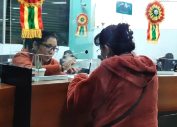 Ley de alivio tributario en espera: RUAT aún debe ajustar su sistema