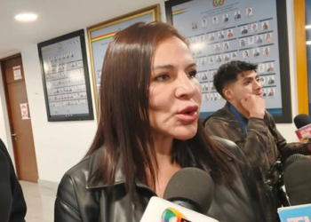 La diputada electa del Partido Demócrata Cristiano (PDC) Sandra Rivero