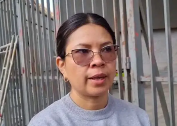 La diputada Diana Romero