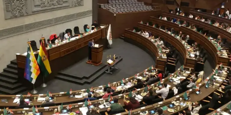 Sesiòn en el pleno. Foto: Prensa Diputados