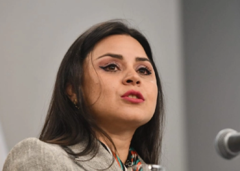 Carla Faval, Vocero presidencial