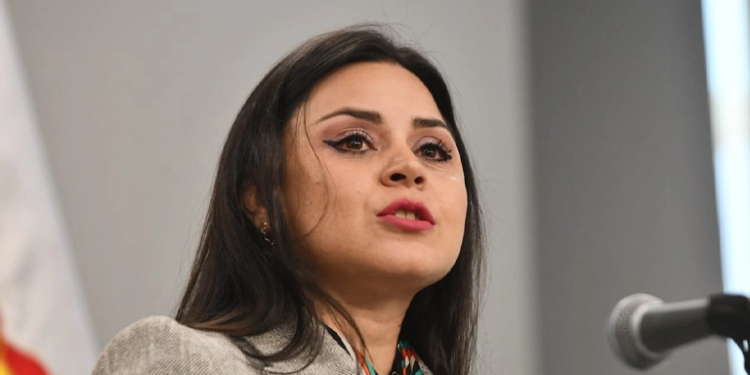 Carla Faval, Vocero presidencial