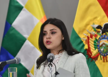 La vocera presidencial, Carla Faval,